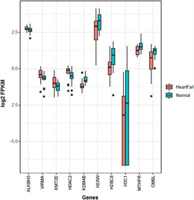 ALKBH5 inhibitors as a potential treatment strategy in heart failure—inferences from gene expression profiling